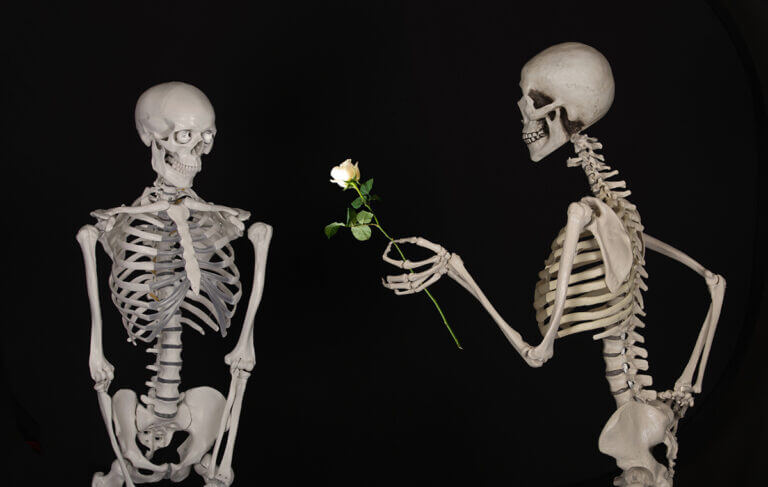 flower love friendship human body illustration skeleton 913687 pxhere.com
