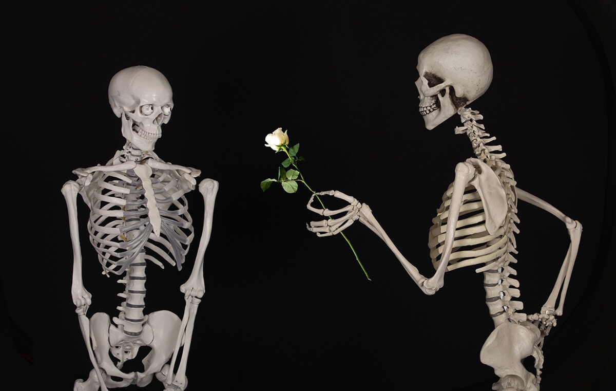 flower love friendship human body illustration skeleton 913687