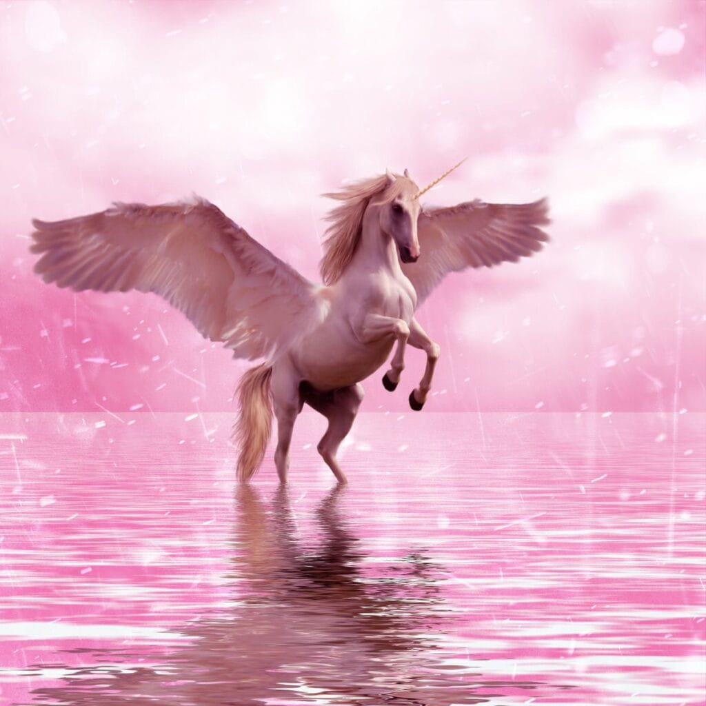 horse unicorn water design fantasy magical 1447997 pxherecom